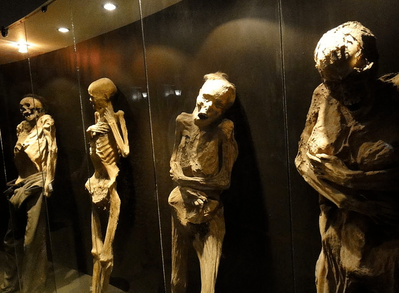 В Мексике ученые обеспокоены мумиями, которые могут заразить человека