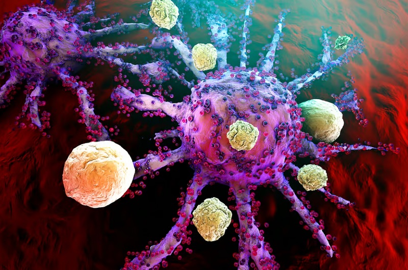 Исследователи подошли к созданию «готовой» иммунотерапии рака
